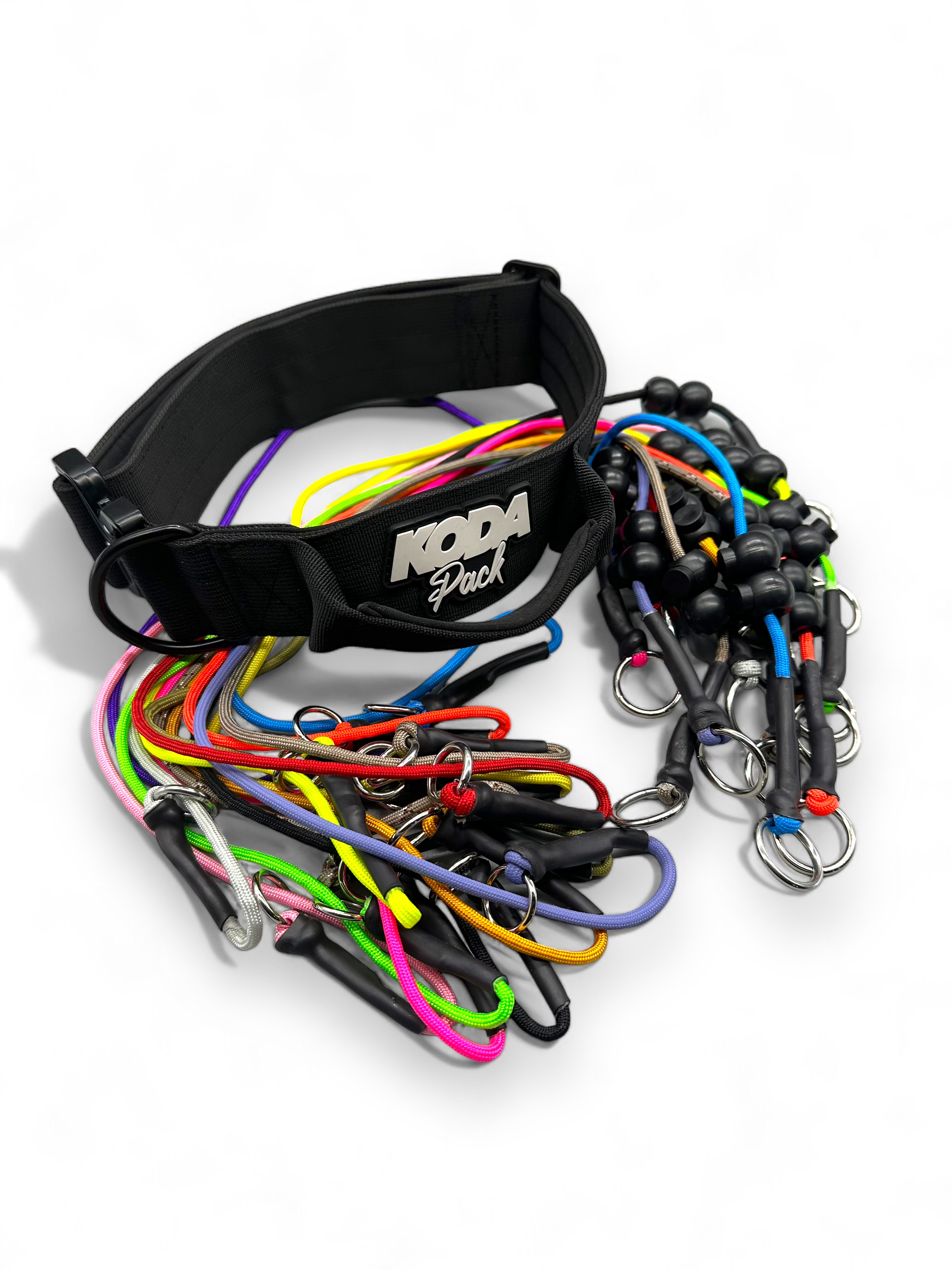Durable Dog Collars