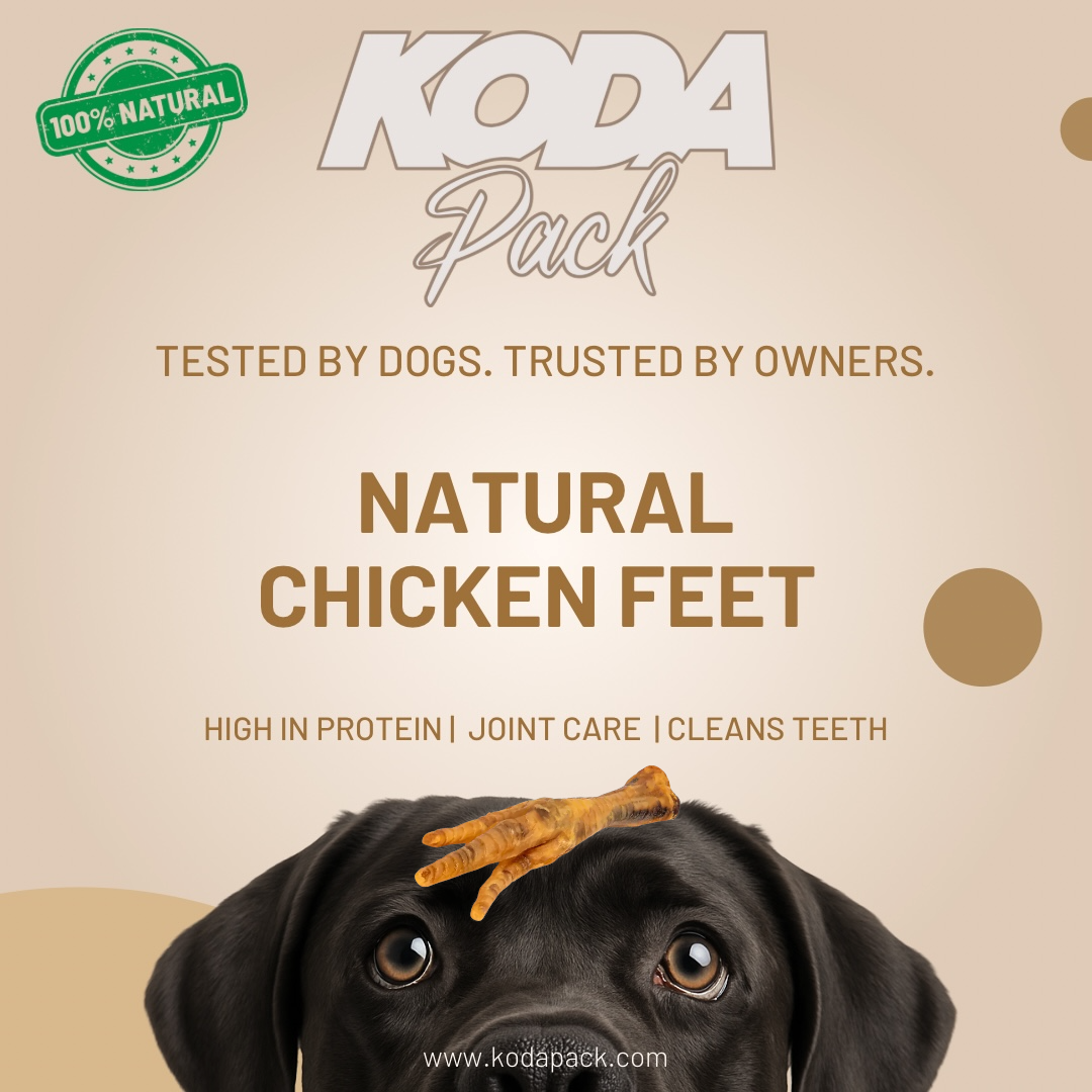 Chicken Feet (500g) – Natural Crunchy Dog Treats for Joint Health