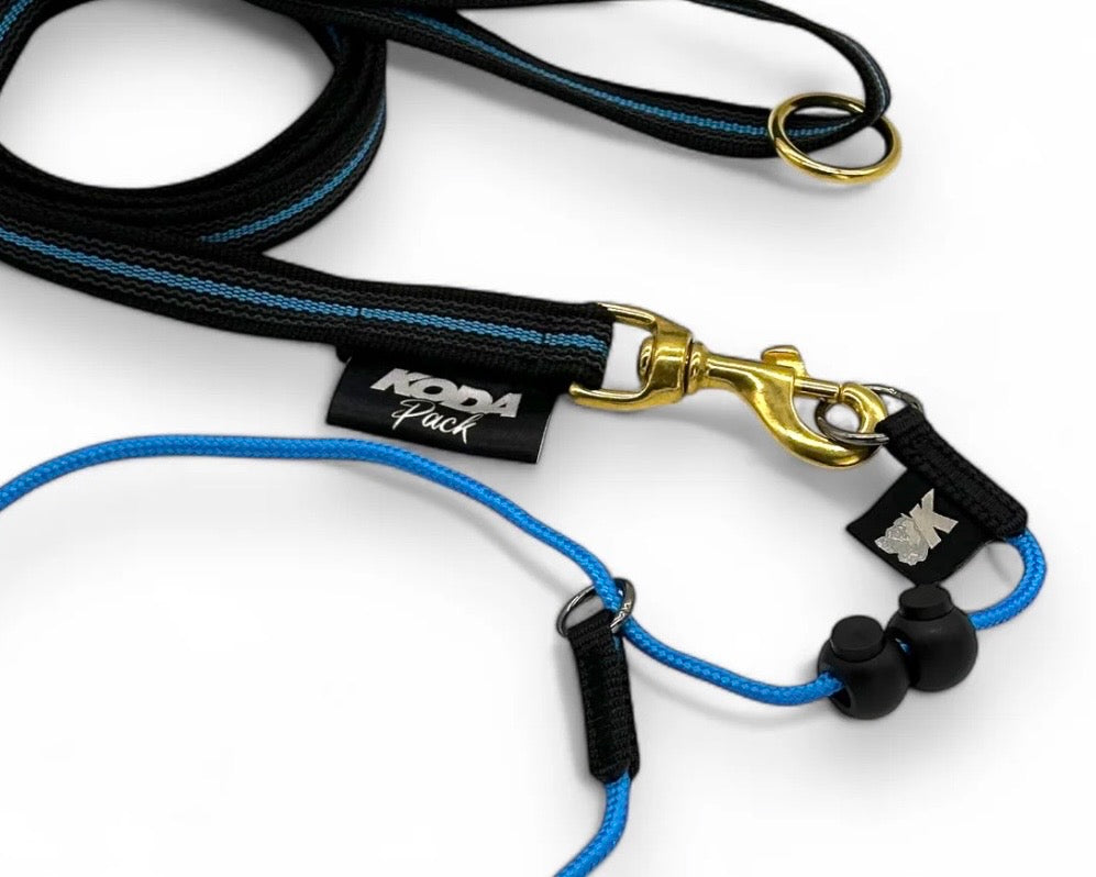 Matching Dog Collar & Lead Sets
