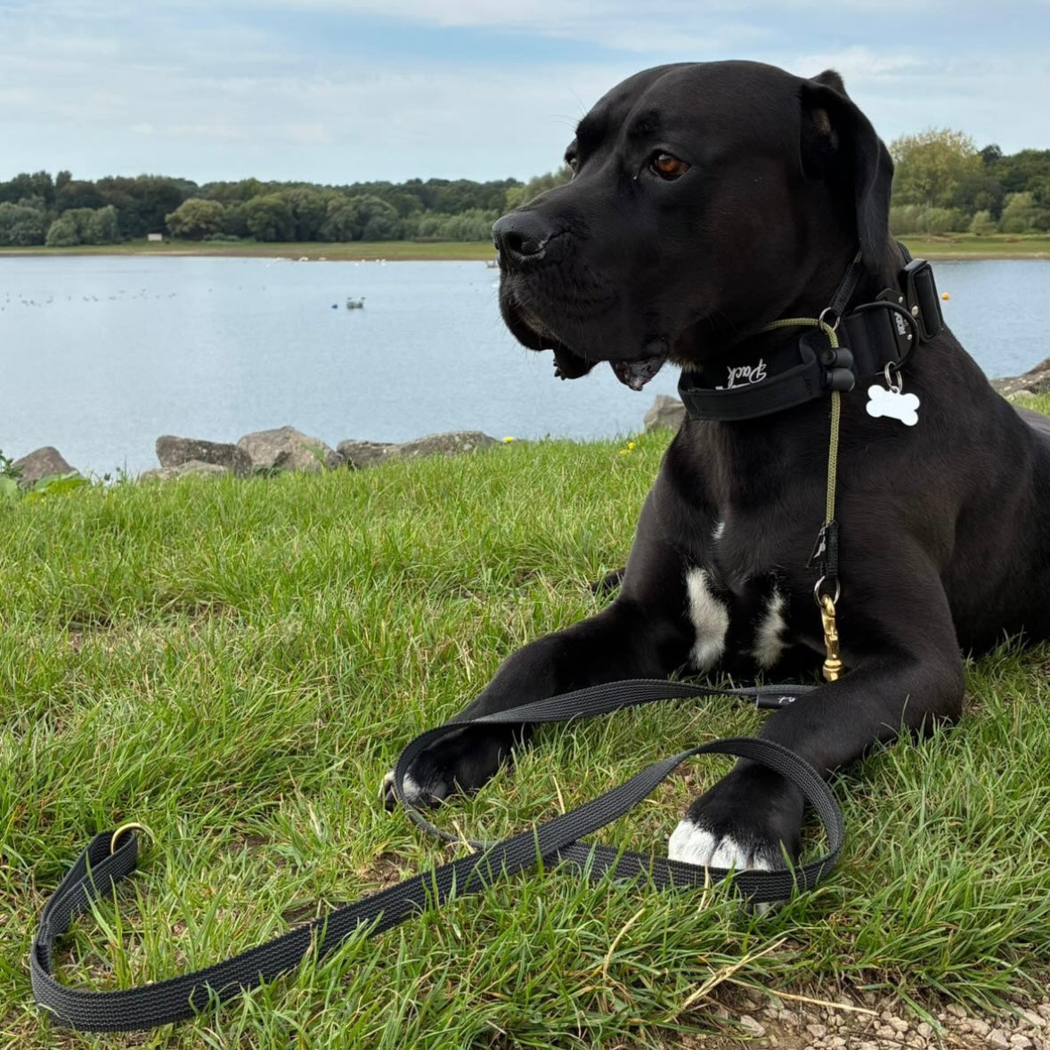 1.5m Rubberised Standard Lead – Durable Dog Lead with Handle for Everyday Training
