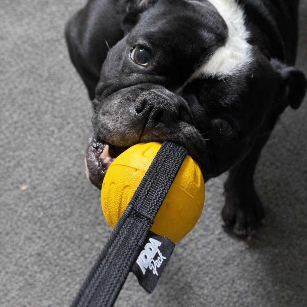 EVA Foam Dog Training Ball – Durable 7cm / 9cm Ball with Tug Handle (Floats & Waterproof)